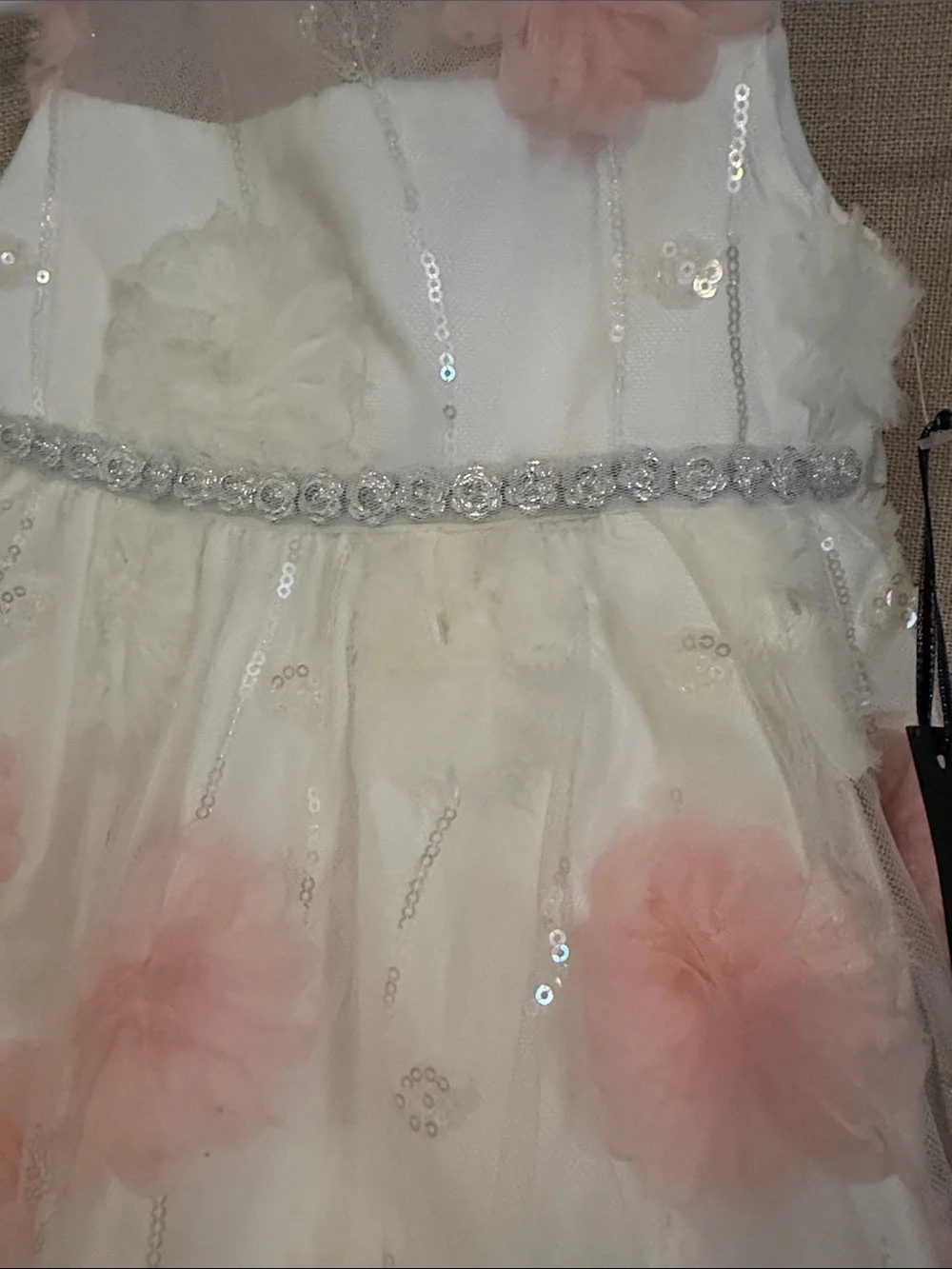 Biscotti Ivory and Pink Floral Tulle Party Dress